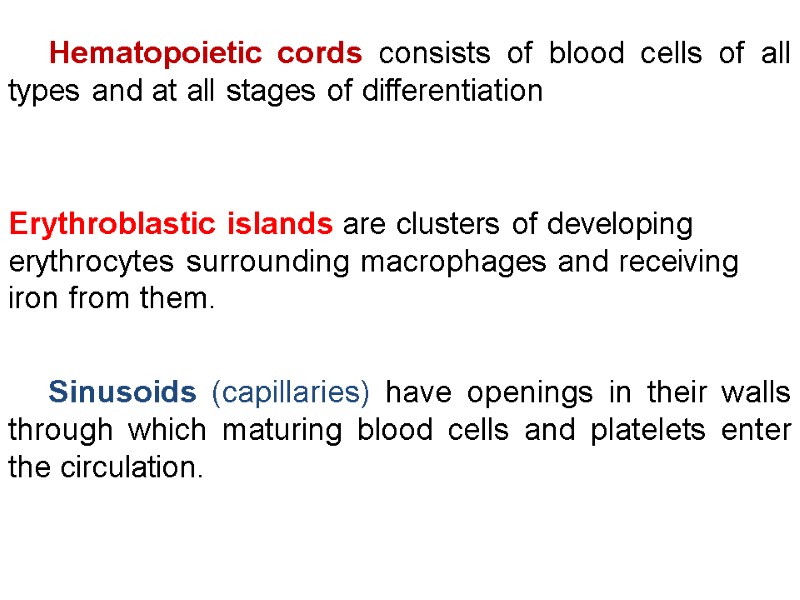 Erythroblastic islands are clusters of developing erythrocytes surrounding macrophages and receiving iron from them.
